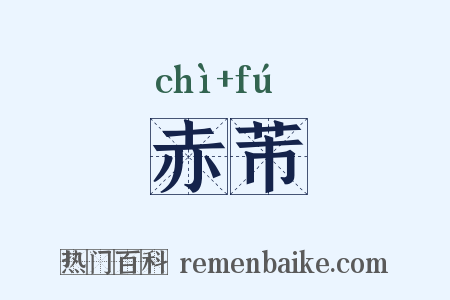赤芾是什么意思的图片
